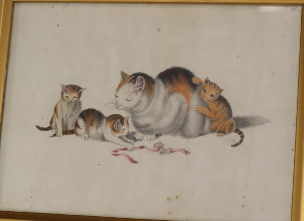 Victorian School, pencil and watercolour, Study with a cat and kittens, 12 x 17cm